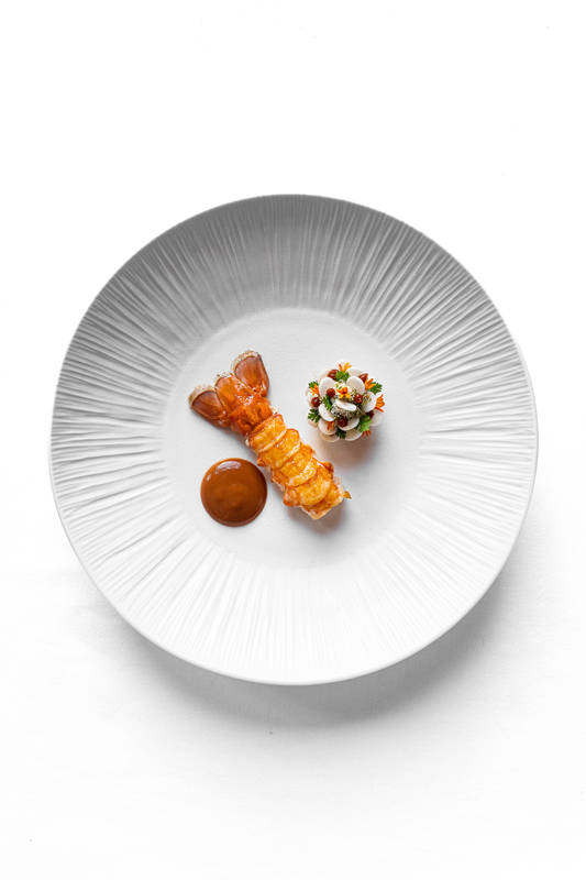La langoustine de casier par Hugo Bourny